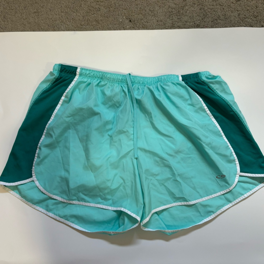 blue champion shorts